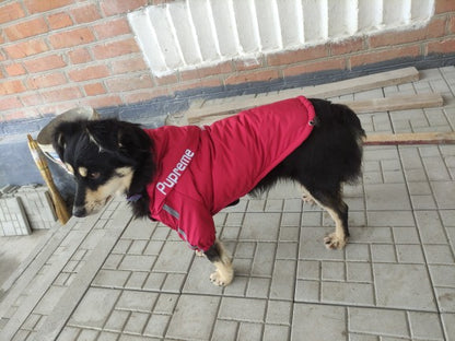 Snuggs Pupreme