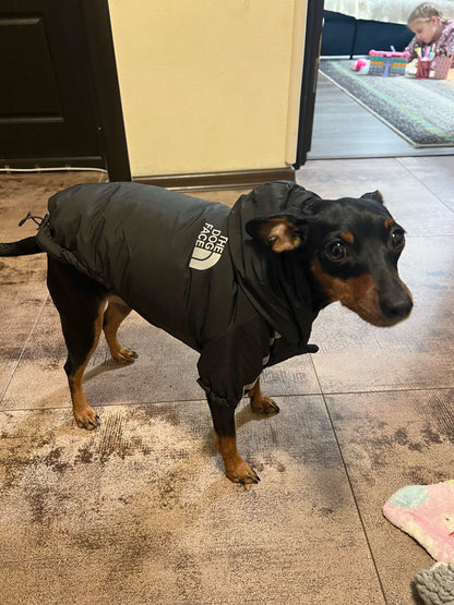 Snuggs Pupreme