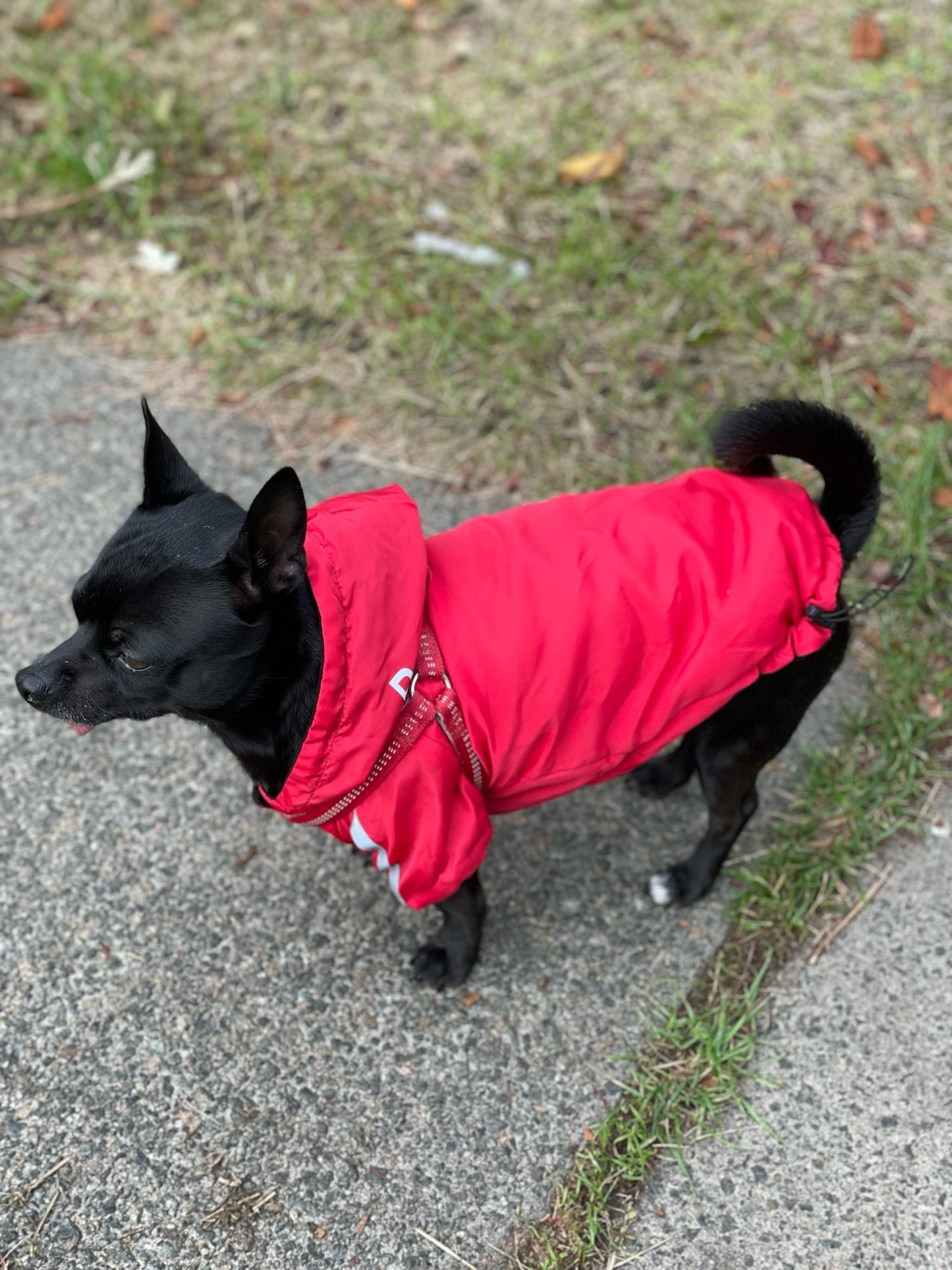 Snuggs Pupreme