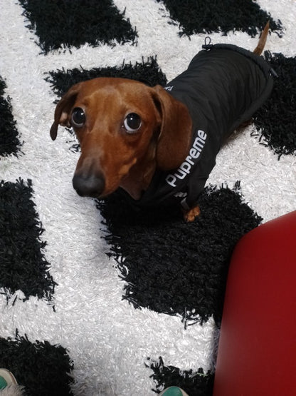 Snuggs Pupreme
