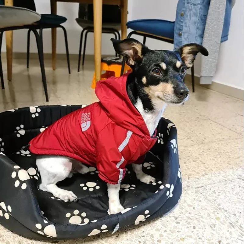 Snuggs Pupreme